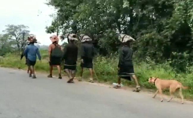 అయ్యారే…! శునక భక్తి… అయ్యప్ప కోసం…!! అయ్యారే…! శునక భక్తి… అయ్యప్ప కోసం…!!