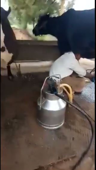 వీడియో వైరల్: ఈ రైతు ముందు ఇంజనీర్ బలాదూర్!