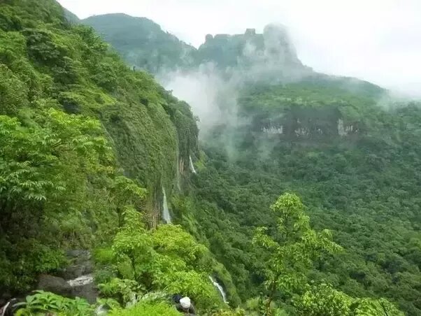 కరోనా ‘పుణ్యం’!: దేన్నయితే వదిలేశావో… దాన్నే ఆశ్రయించావ్ నాయనా!!