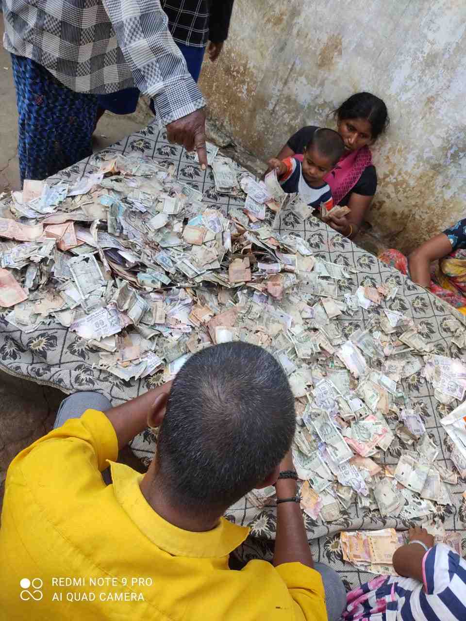 చెదలు మింగిన రూ. 5 లక్షలు