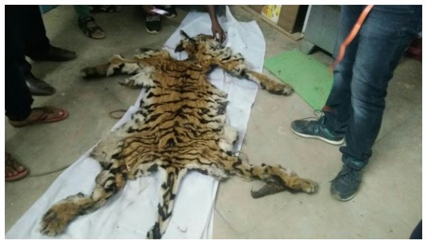 పులి చర్మం స్మగ్లింగ్ : ఐదుగురు పోలీసుల అరెస్ట్