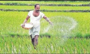 దారి తప్పిన ‘రైతు భరోసా’ దారి తప్పిన ‘రైతు భరోసా’