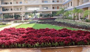 పార్కు కాదు సుమీ.. అందమైన కలెక్టరేట్!