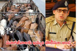 పశువుల అక్రమ రవాణా నిరోధానికి ‘చెక్’ పోస్టులు