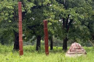 ఛత్తీస్ గఢ్ అడవుల్లో అనూహ్య దృశ్యం!