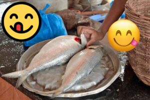 ఆయ్.. ‘పులస’కంత లేదండీ..!