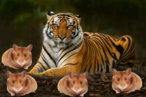 పులి గుహల్లో తలలు పెట్టి విర్రవీగే చిట్టెలుకల్లాంటి చెంచాల కథ..!! పులి గుహల్లో తలలు పెట్టి విర్రవీగే చిట్టెలుకల్లాంటి చెంచాల కథ..!!