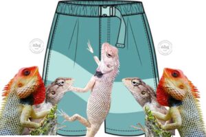 లాగులో తొండలు..! ఇదీ ఆ ‘ఇంటరాగేషన్’ కథ!?