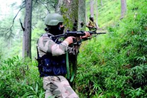 ఆ ‘ఎన్కౌంటర్’లో CoBRA, STF జవాన్లపై అడవి జంతువుల దాడి!