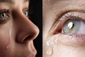 హాస్టళ్లలో మీ పిల్లల కేకలు వినిపిస్తున్నాయా!?