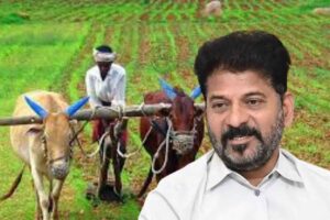 సర్కారువారి దయ.. 40 రోజుల్లో మూడు దఫాలుగా రైతు భరోసా సర్కారువారి దయ.. 40 రోజుల్లో మూడు దఫాలుగా రైతు భరోసా